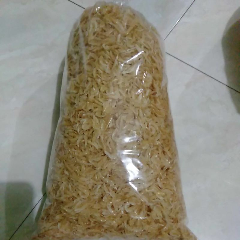udang rebon