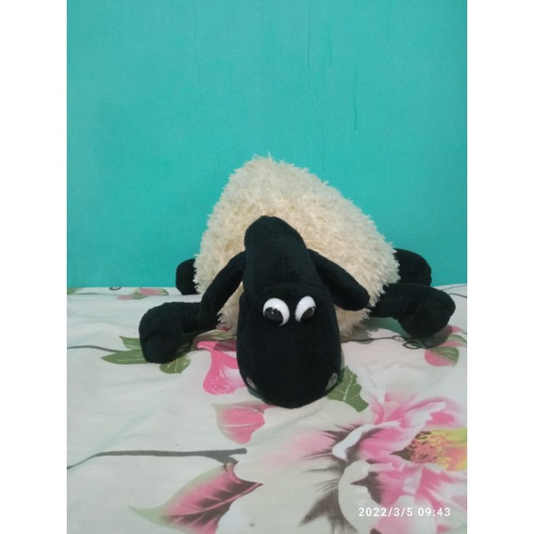 Boneka Domba