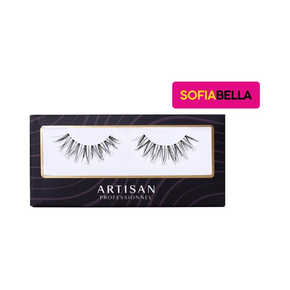 ARTISAN PROFESSIONNEL L ' ABSOLU