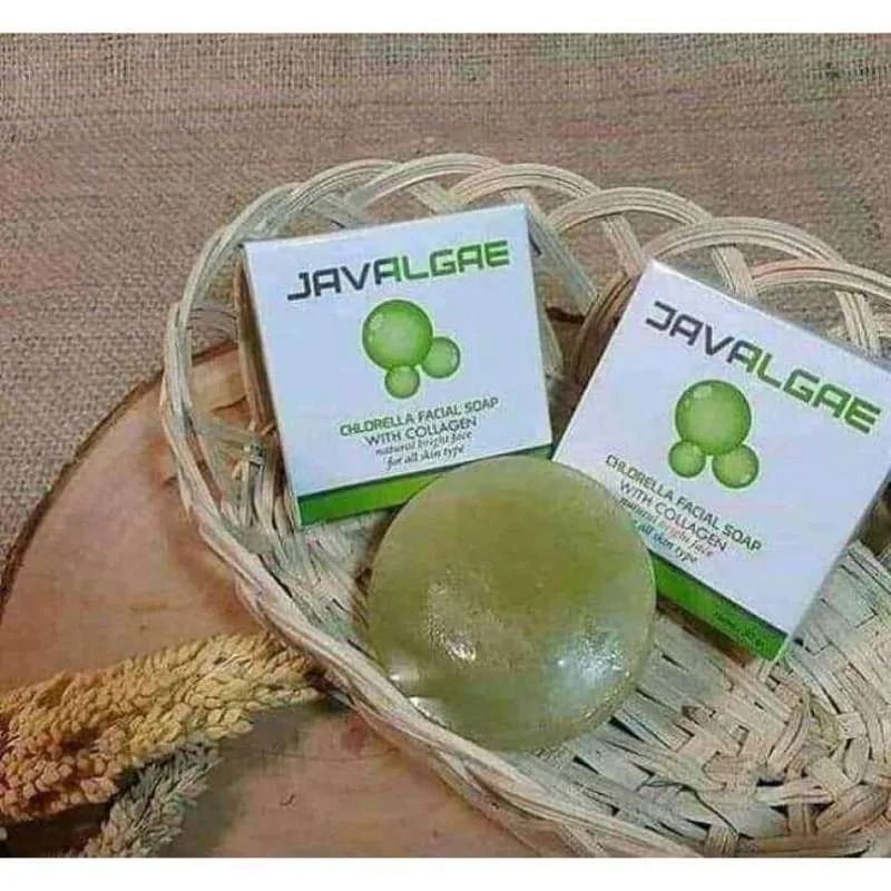 JAVALGAE NASA :