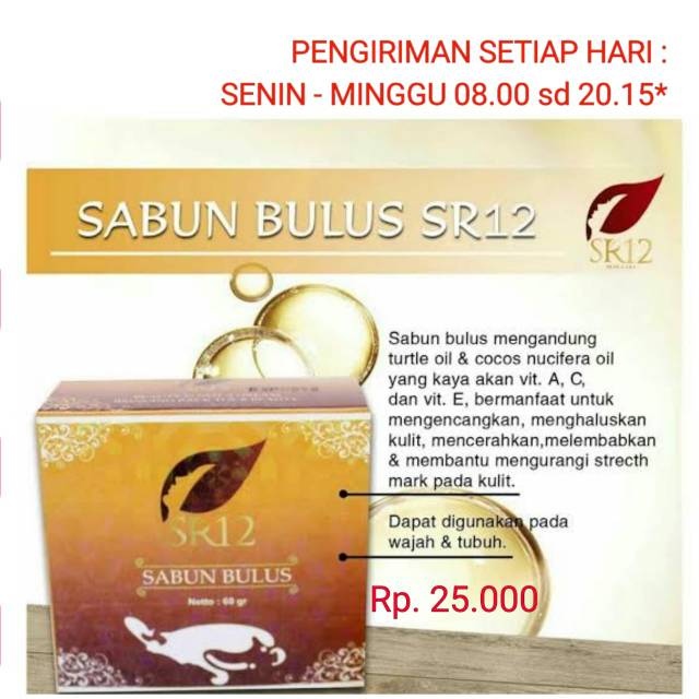 SR12 SABUN BULUS