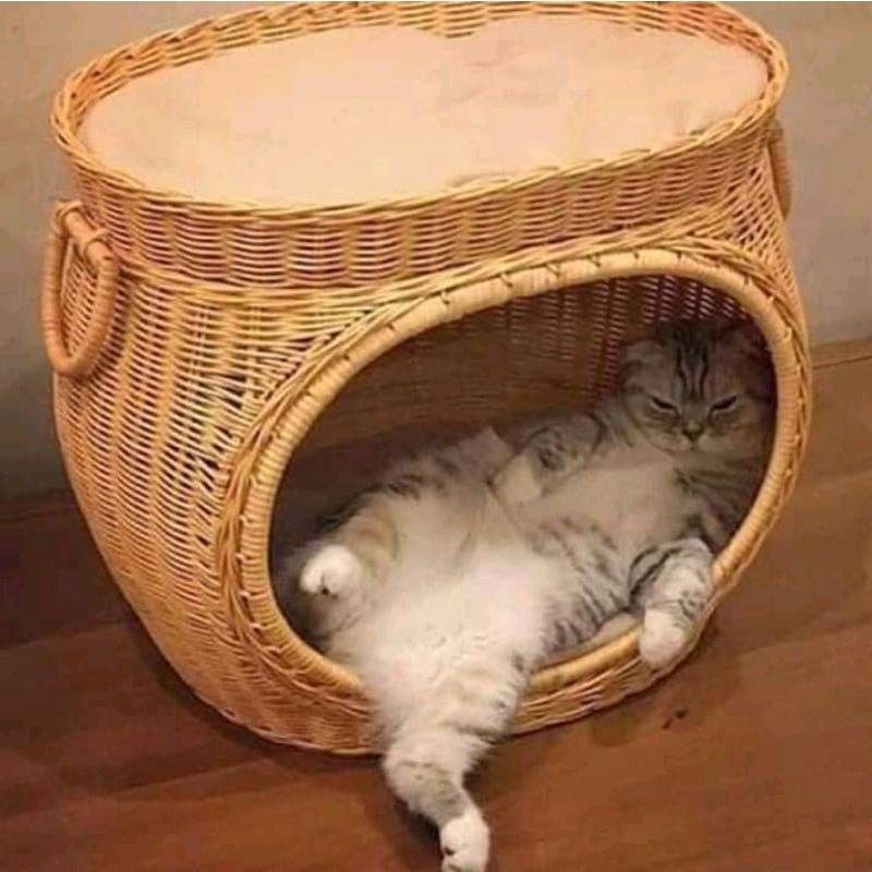 RUMAH KUCING//GLOSIR//NATURAL 42CM