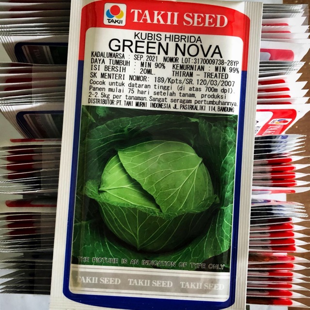 Kubis Hibrida GREEN NOVA