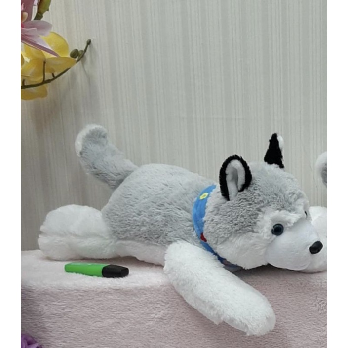 Boneka Anjing Husky Lying
