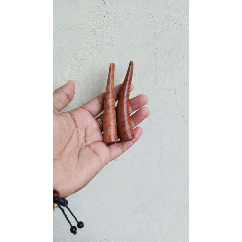 piprok setigi 10cm