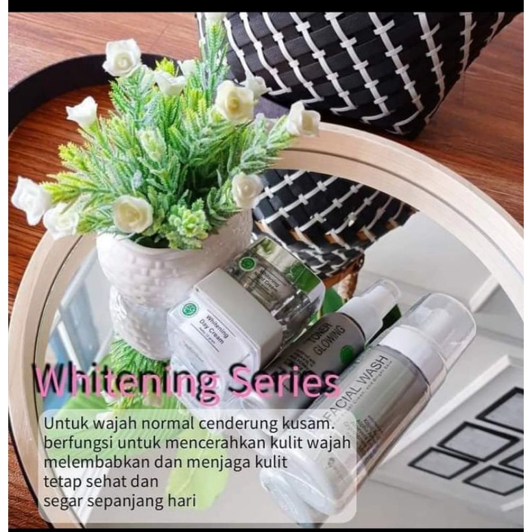 paket msglo whitening