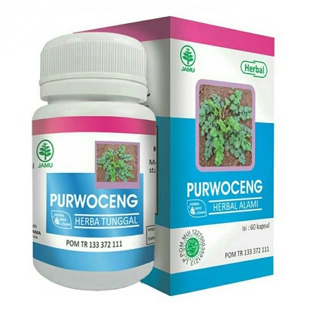 HERBAL DEWATA (HERBAL PURWA)