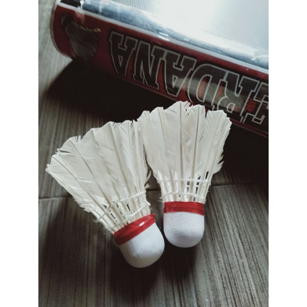 kok badminton new serial