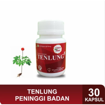 PENINGGI BADAN BPOM