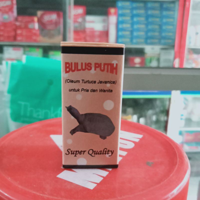 MINYAK BULUS PUTIH SUPER QUALITY