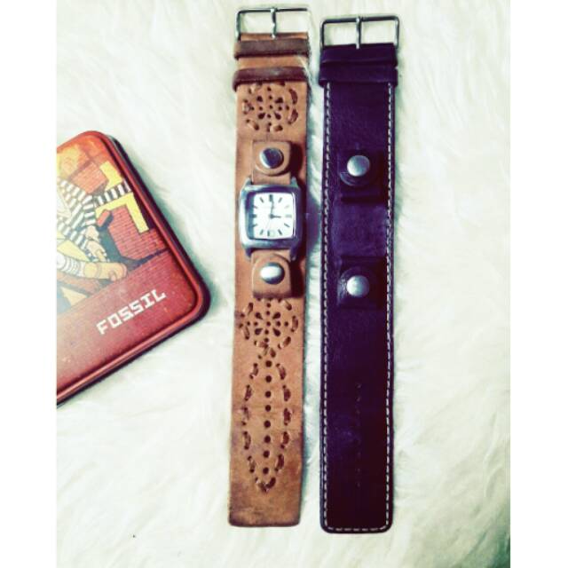 Fossil ori predloved