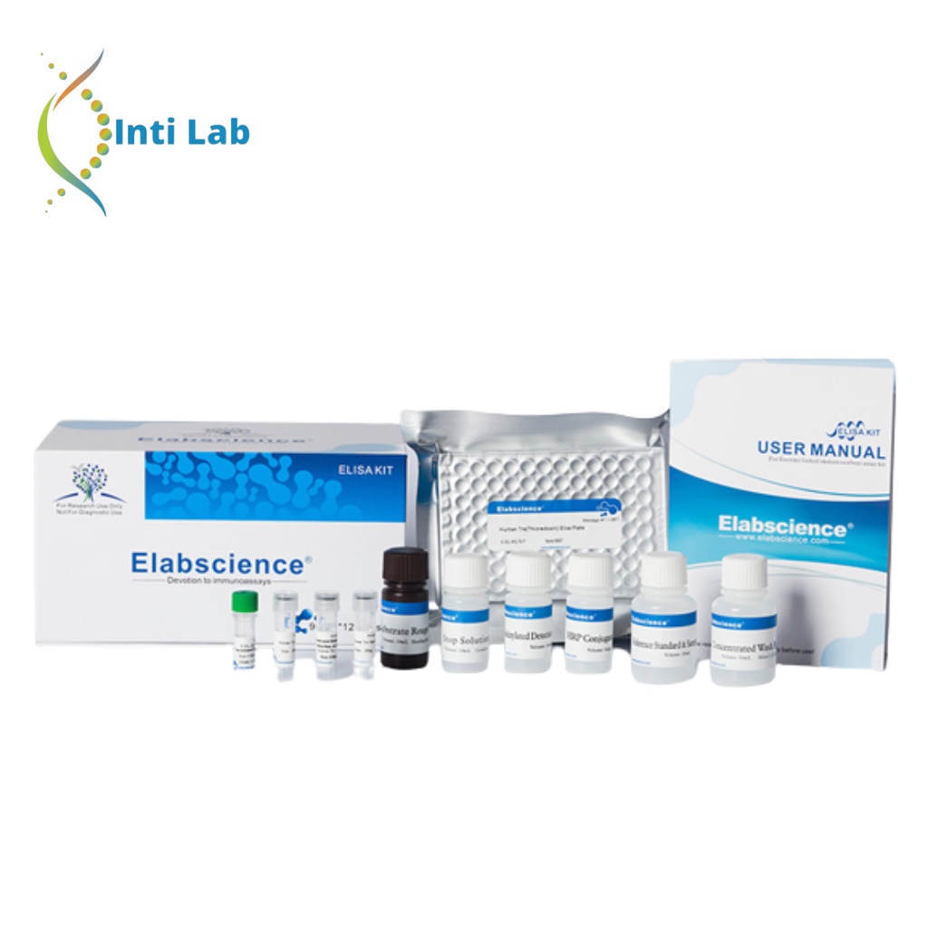 ELABSCIENCE AF(Total Aflatoxin) ELISA Kit