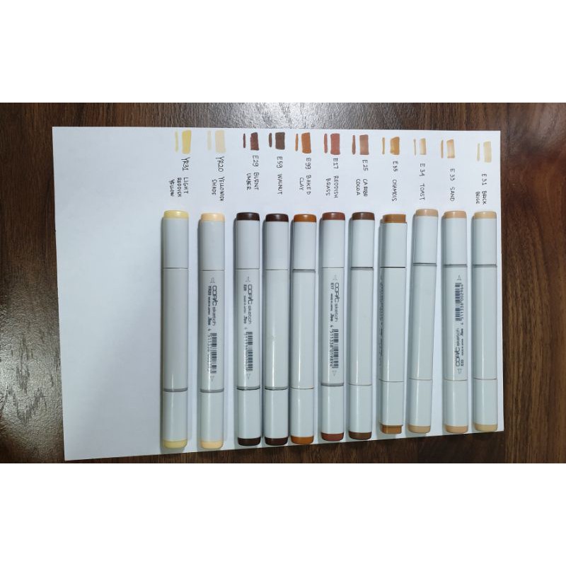Copic Sketch earth tone ( E & YR)