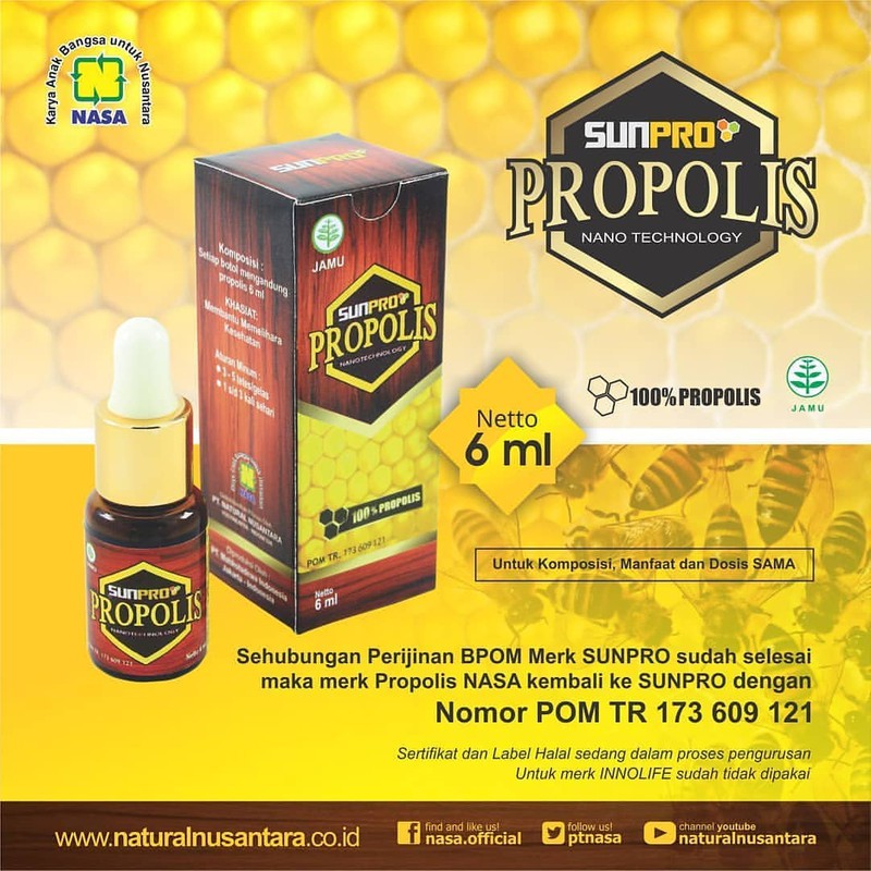 SUNPRO PROPOLIS NASA