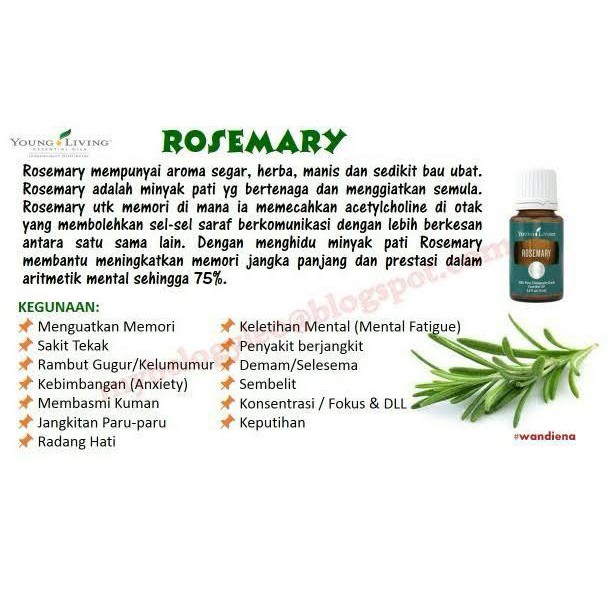 Rosemary essential oil 15ml