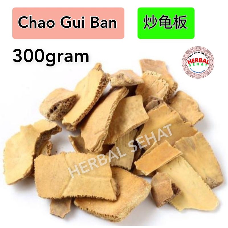 [300gram]  Gui Ban / Turtle Shell - Plastrum Testudinis