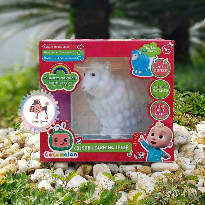 Cocom Musical Colour Learning Sheep