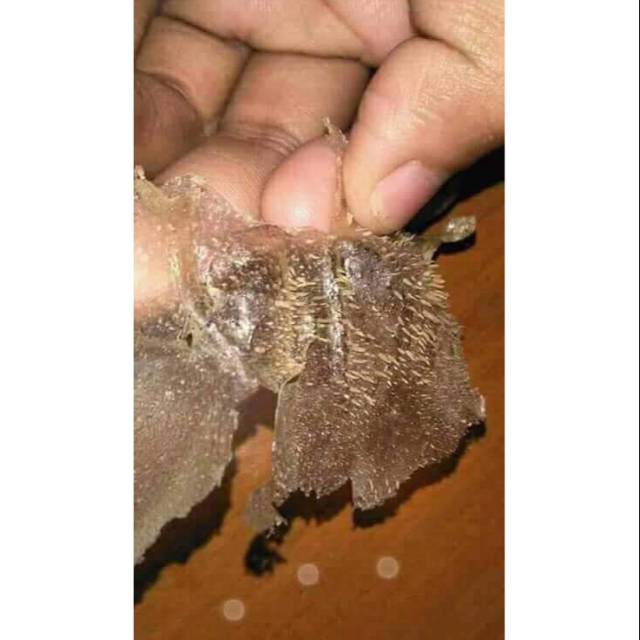 Masker komedo Original 100%