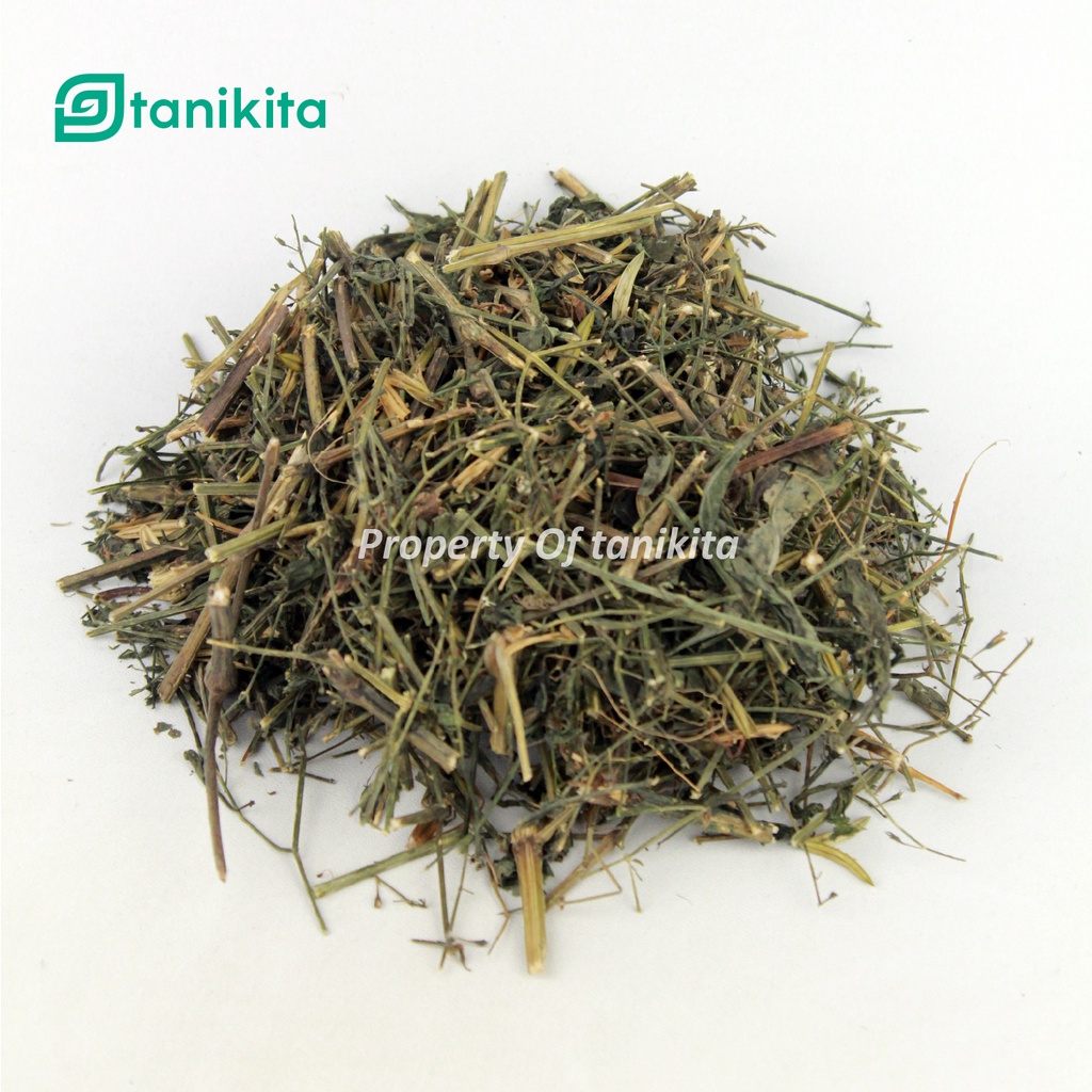 Sambiloto Kering 500gr