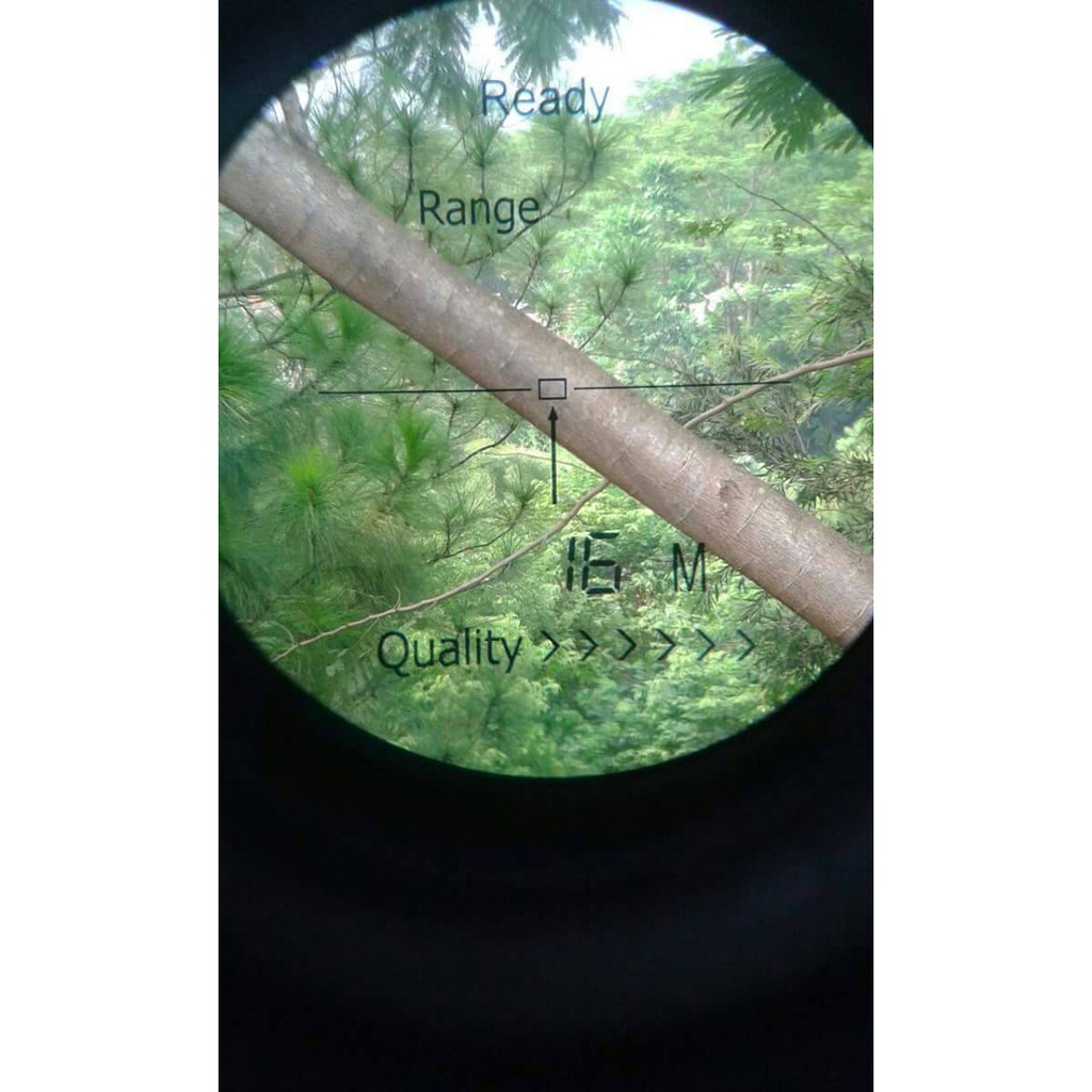 Range Finder Beeman