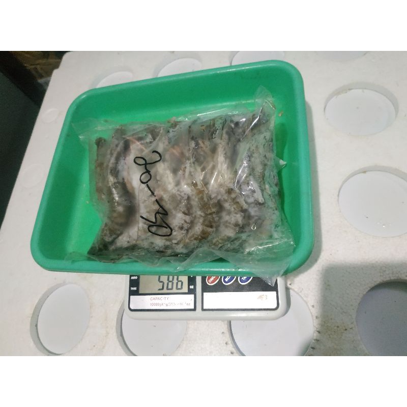 udang frozen