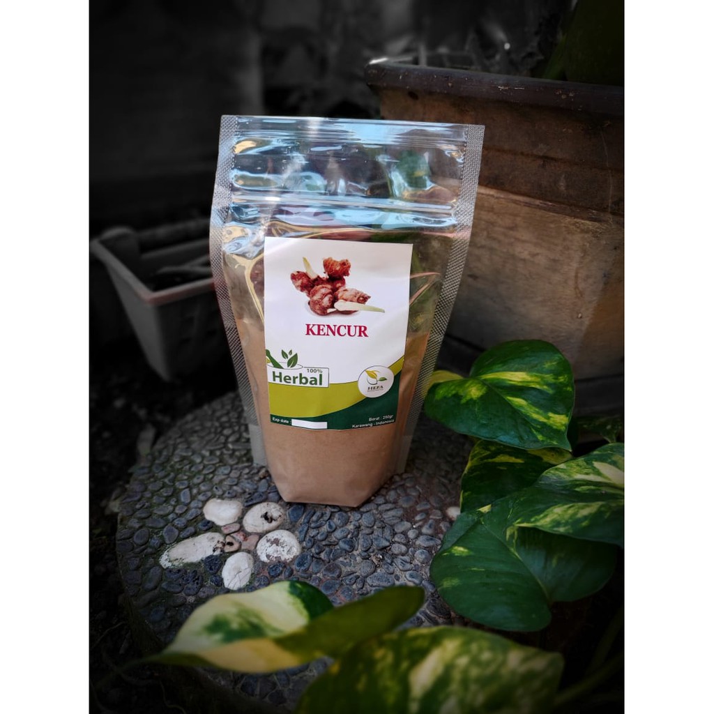 Kencur bubuk murni 100%