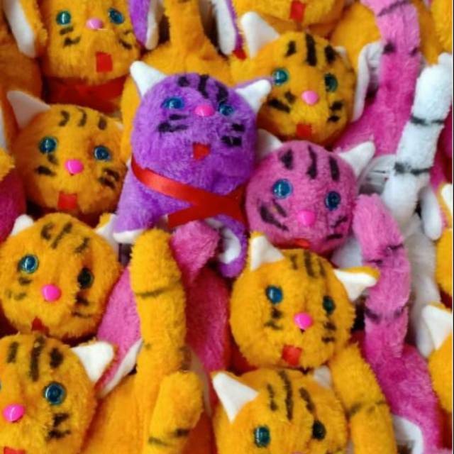 Kucing bersuara