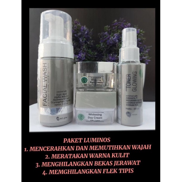 Ms Glow/Paket Luminos flek ringan