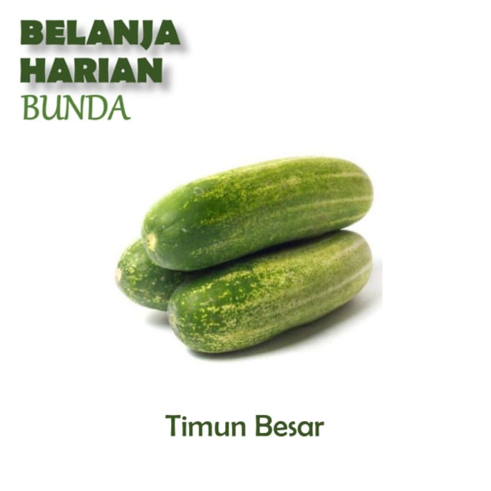 timun besar 1kg