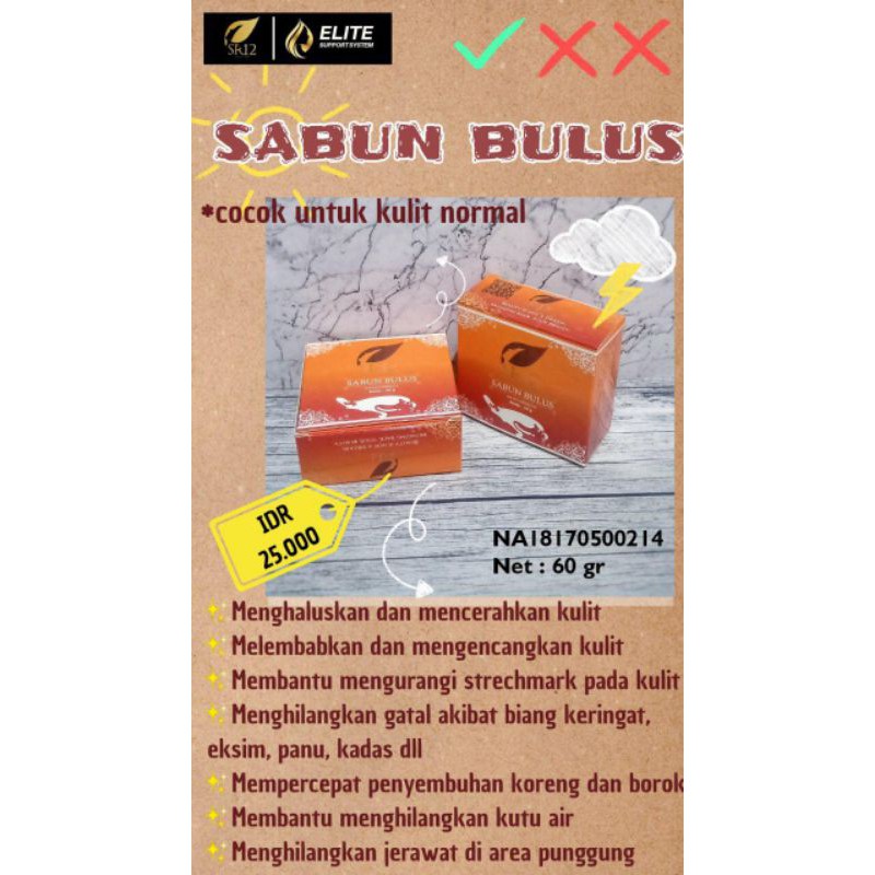 Sabun Bulus SR12