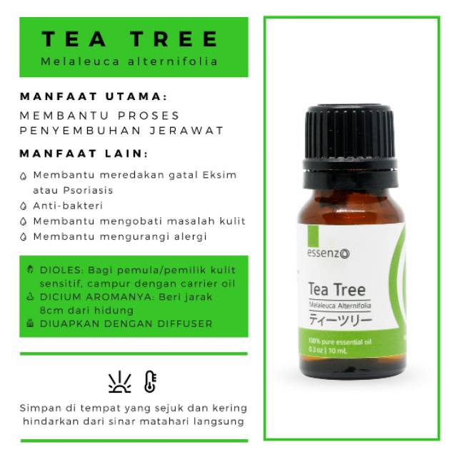Tea Tree Essential Oil (Mengempeskan Jerawat)