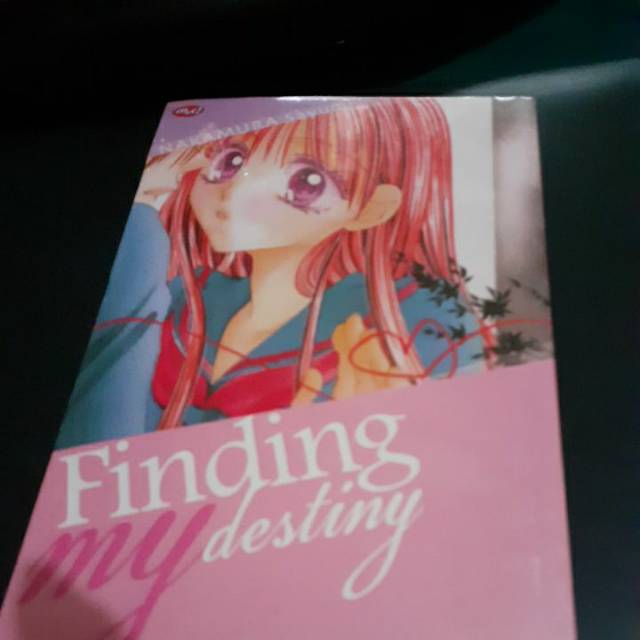 Finding my destiny