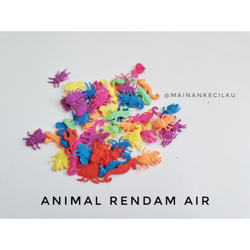 Growing Animal