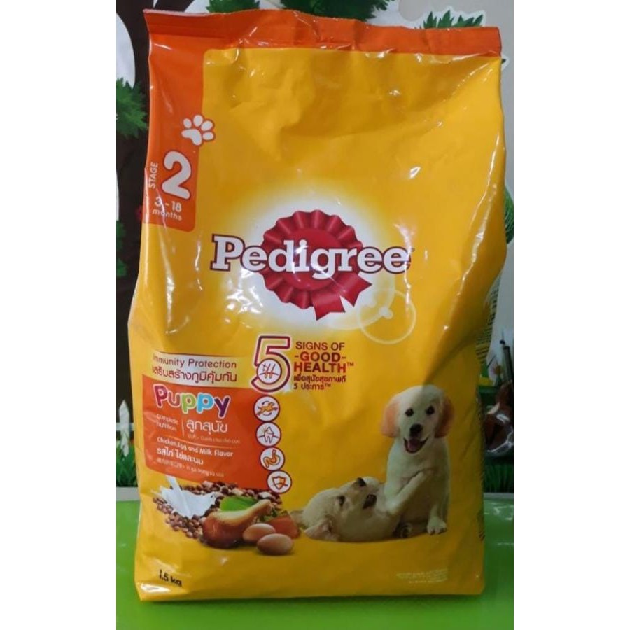 PEDIGRE-PUPPY