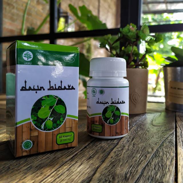 Daun bidara