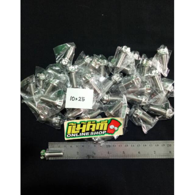 Baut probolt payu 10x25