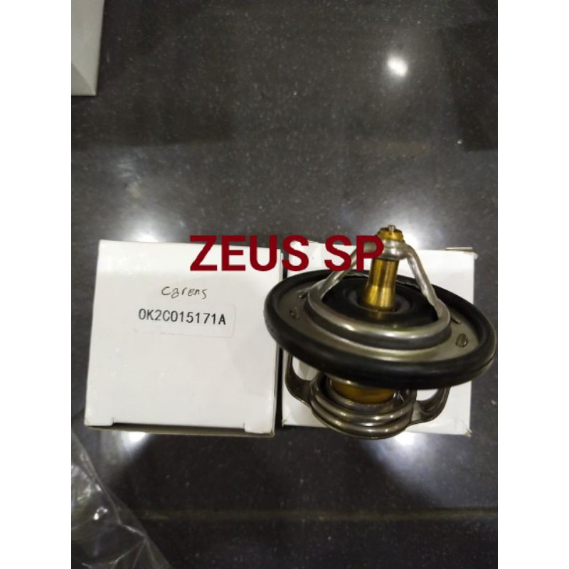 Thermostat CARRENS
