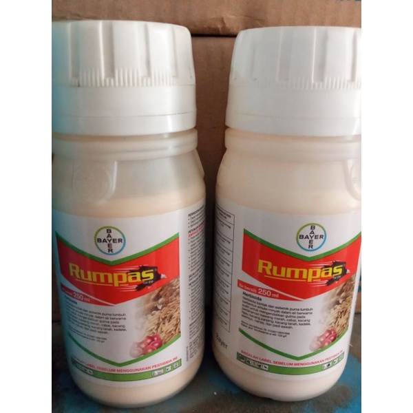 Rumpas 120EW 100ml
