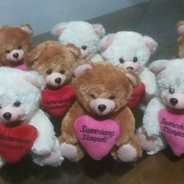 Boneka teddy bear custom tulisan request