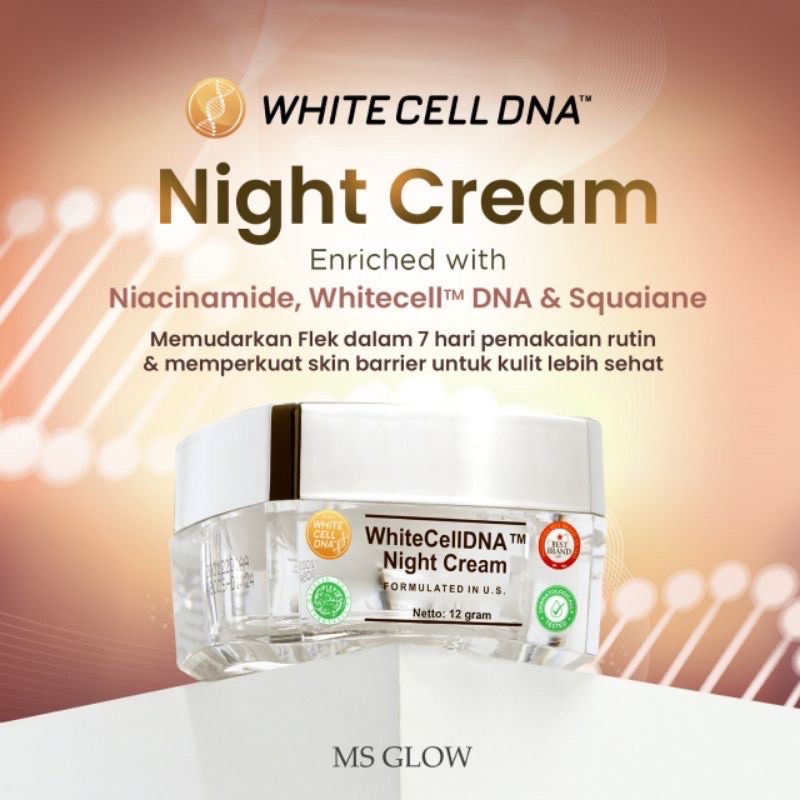 READY CREAM DNA MSGLOW