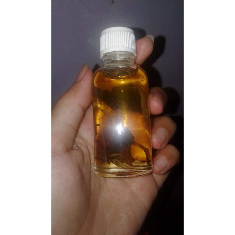 Minyak bulus original
