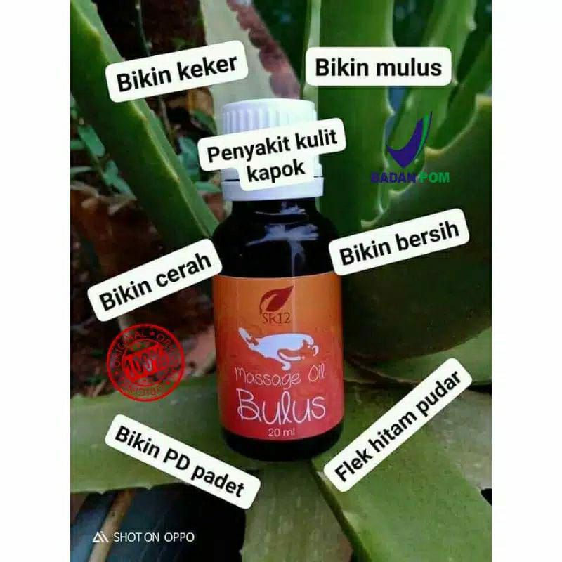 minyak bulus asli