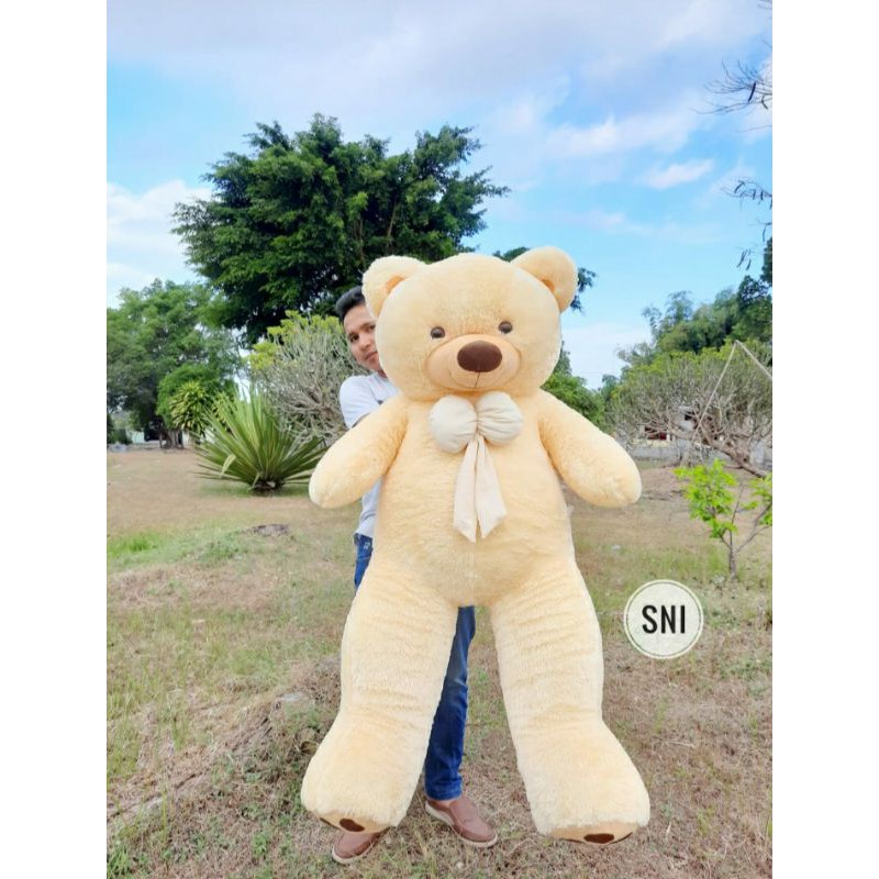 Boneka beruang SNI