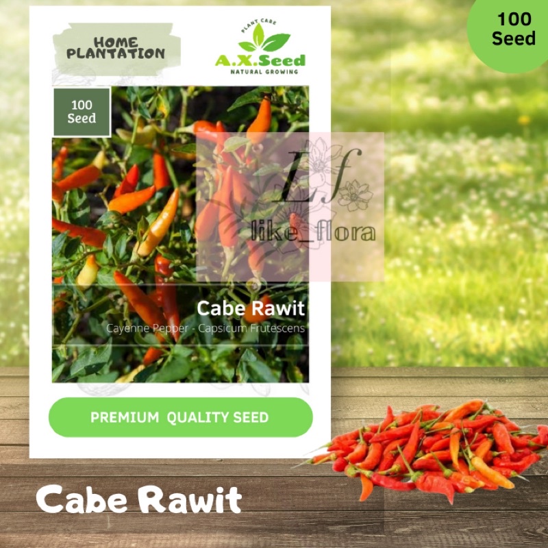 Benih Cabe Rawit Ax-Seed