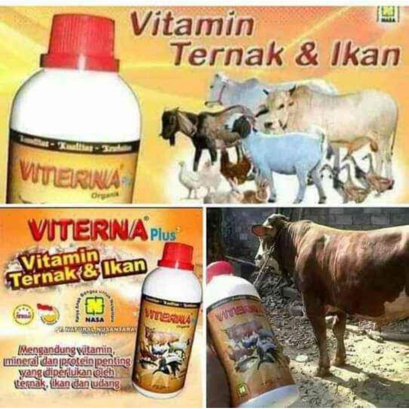 Viterna vitamin ternak