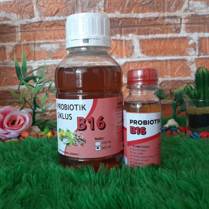 Probiotik Siklus B16 500ml