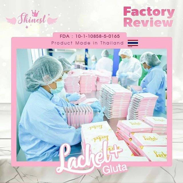 Gluta lachel