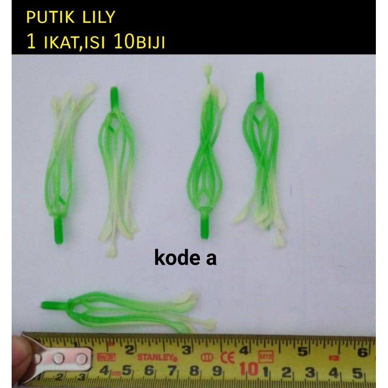 putik lily