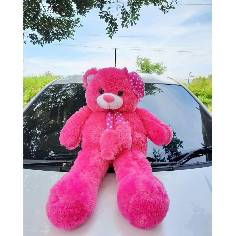 Teddy bear topi syal jumbo