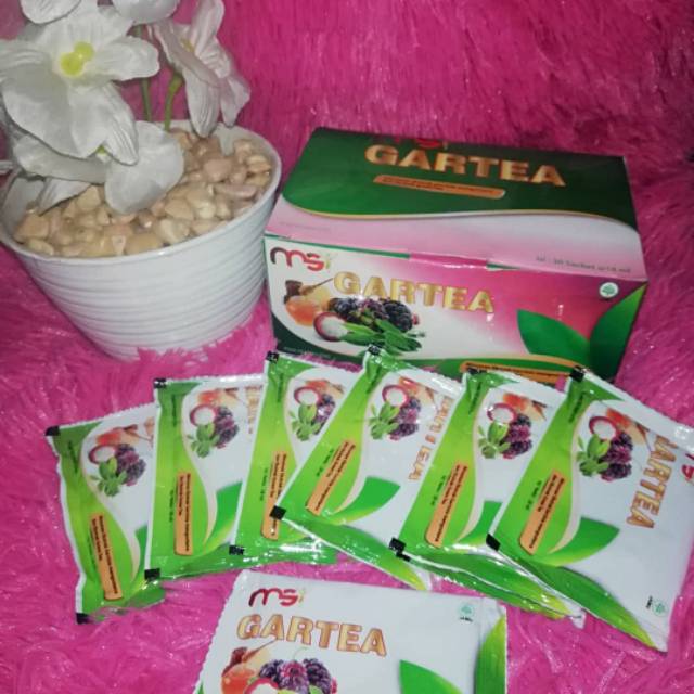 Gartea MSI